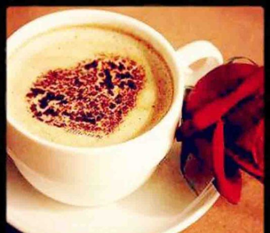 coffee, espresso, coffee shop, coffee bean, coffee beans, coffee cup, coffee shops, types of coffee, coffee brands, best coffee, espresso coffee, arabica coffee