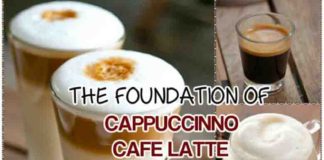 coffee, espresso, coffee shop, coffee bean, coffee beans, coffee cup, coffee shops, types of coffee, coffee brands, best coffee, espresso coffee, arabica coffee