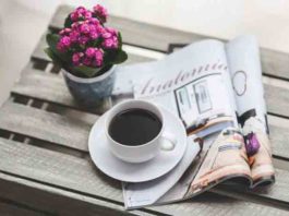 coffee, espresso, coffee shop, coffee bean, coffee beans, coffee cup, coffee shops, types of coffee, coffee brands, best coffee, espresso coffee, arabica coffee
