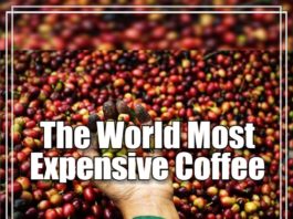 The world most expensive coffee
