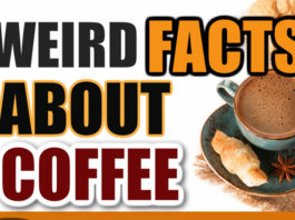 Coffee Facts