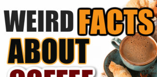 Coffee Facts