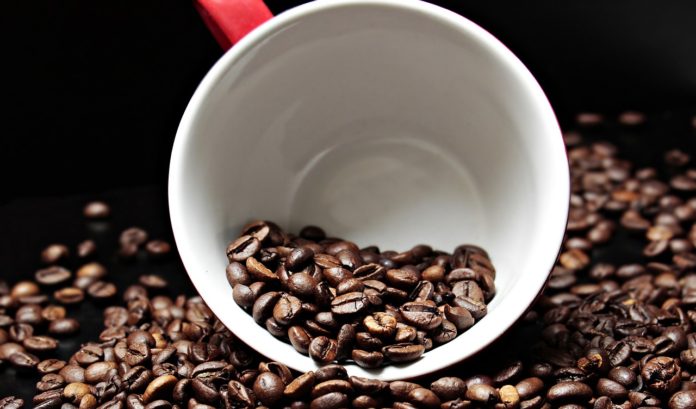 Medium Roast Coffee Beans in a Cup