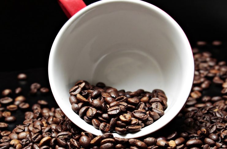 Medium Roast Coffee Beans in a Cup