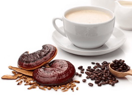 Ganoderma Coffee Health Benefits