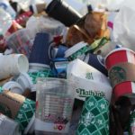 Starbucks Dunkin Donuts Taxes on Disposable Cups in Berkeley California
