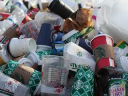 Starbucks Dunkin Donuts Taxes on Disposable Cups in Berkeley California