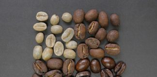 four types of coffee beans