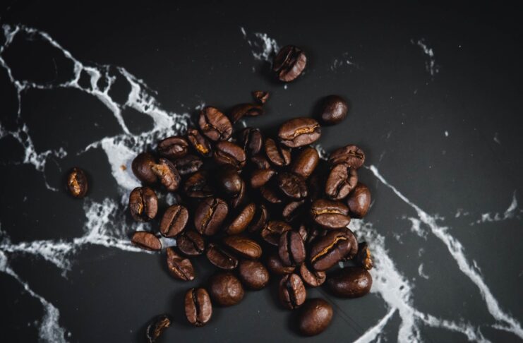 robusta coffee beans