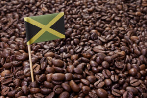 Jamaican Coffee 2