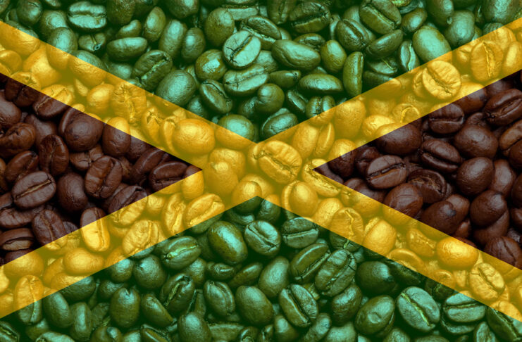 Jamaican Coffee