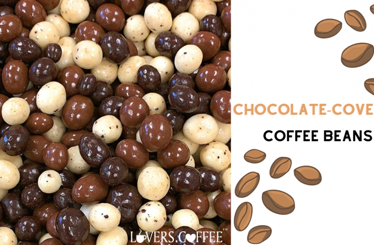 Chocolate-covered beans