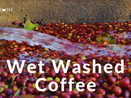 wet washed coffee