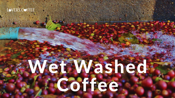 wet washed coffee