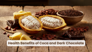 cocoa and dark chocolate