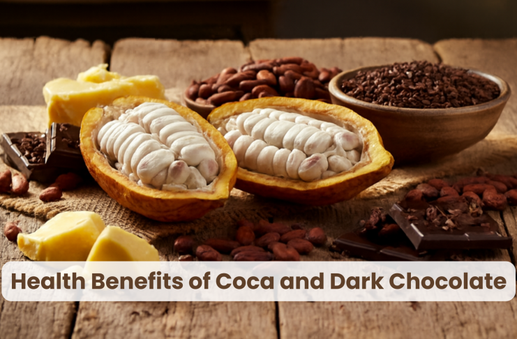 cocoa and dark chocolate