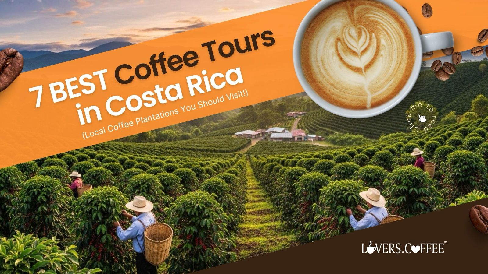 7 BEST Coffee Tours in Costa Rica
