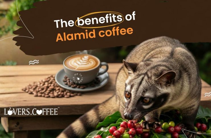 benefits of alamid coffee