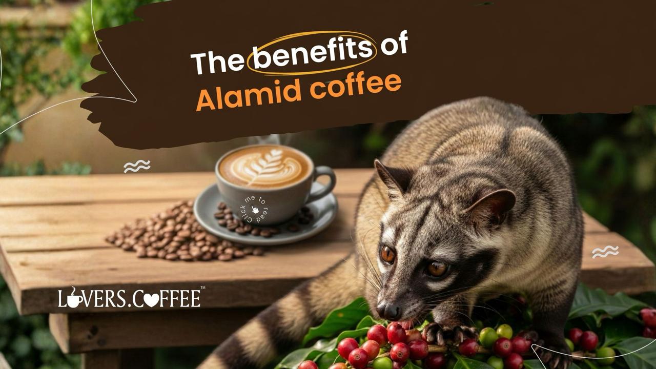 benefits of alamid coffee