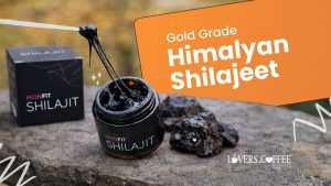 Himalayan Shilajit Resin