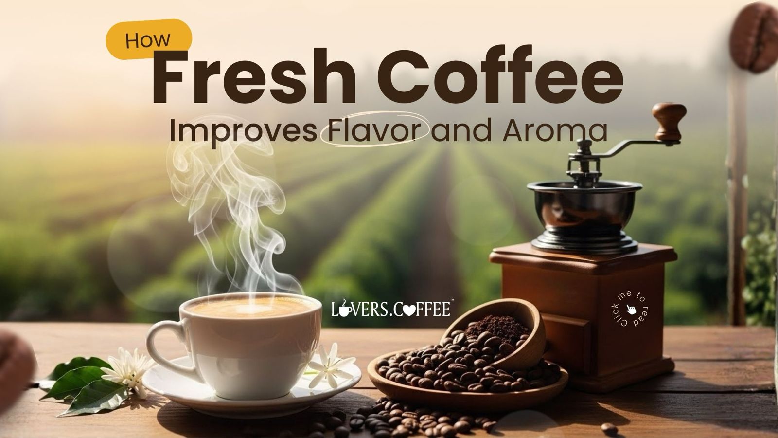 How Fresh Coffee Improves Flavor and Aroma