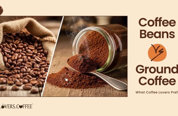 coffee beans vs ground coffee