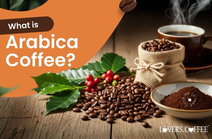 what is arabica coffee