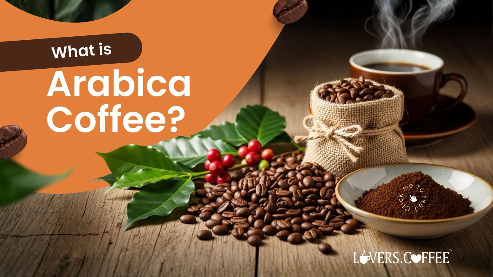what is arabica coffee