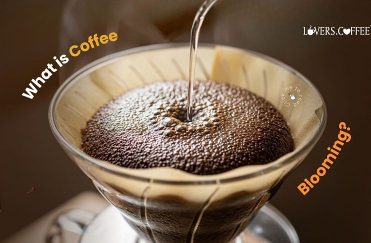what is coffee blooming