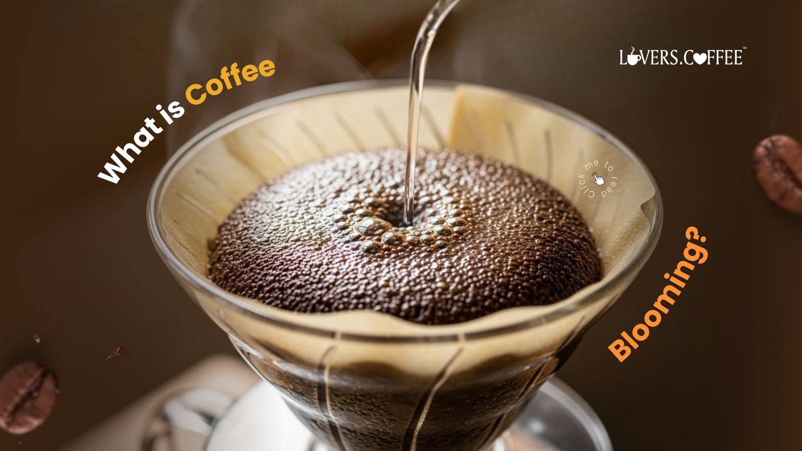 what is coffee blooming