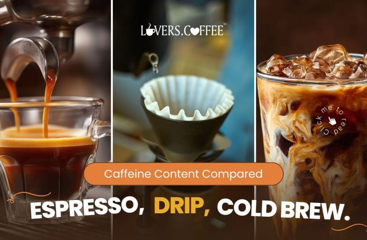 Espresso vs drip vs cold brew