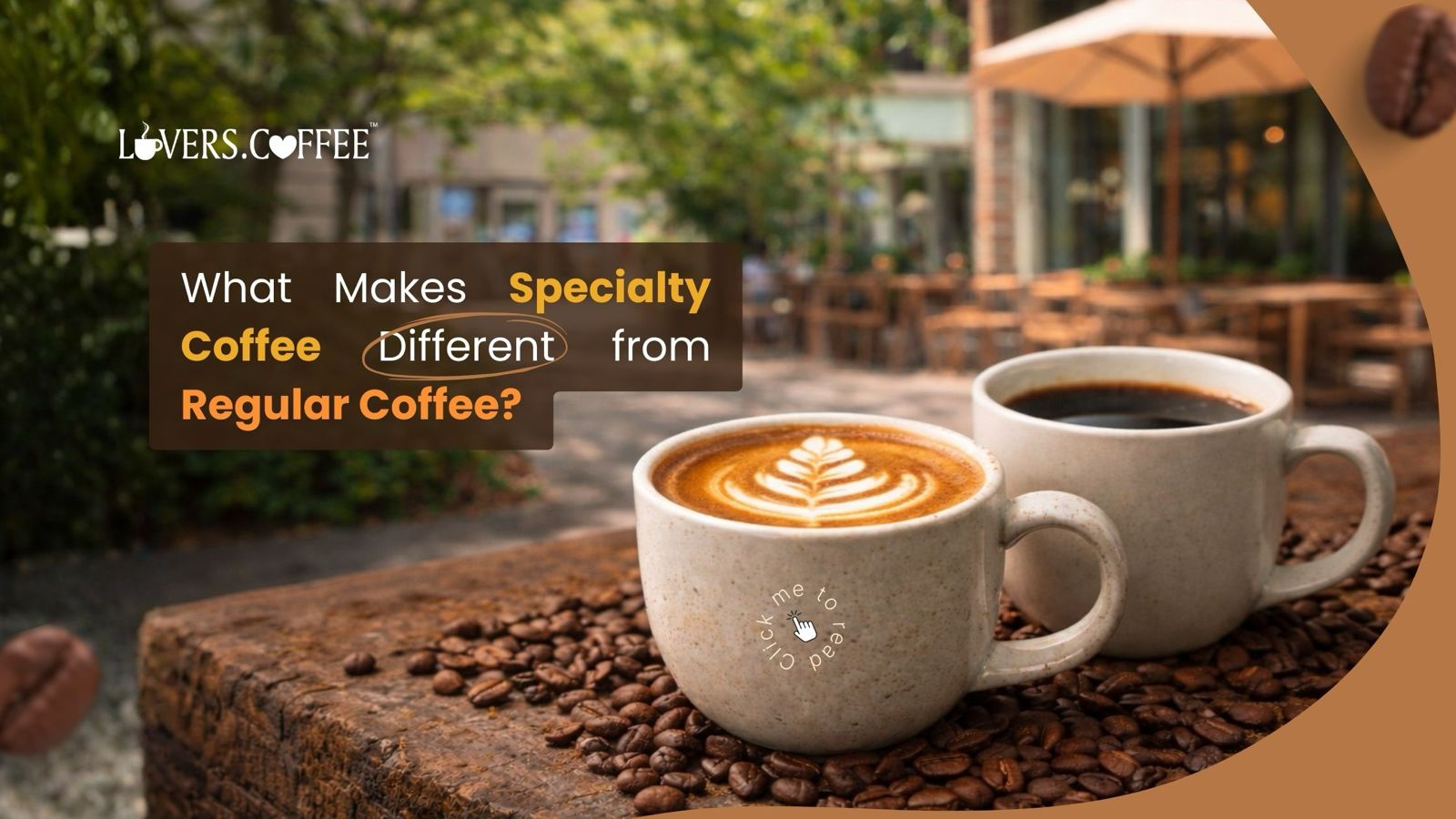 Regular Coffee and Specialty Coffee