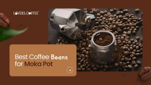 best coffee beans for moka pot