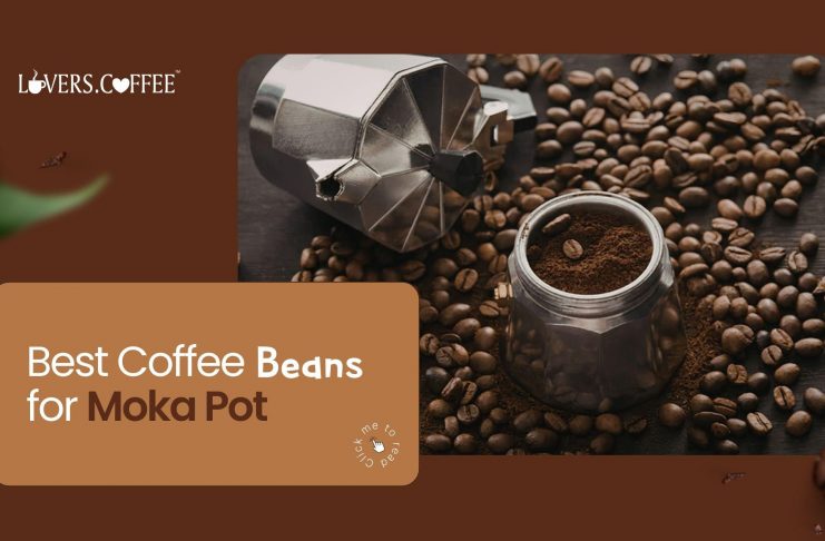 best coffee beans for moka pot