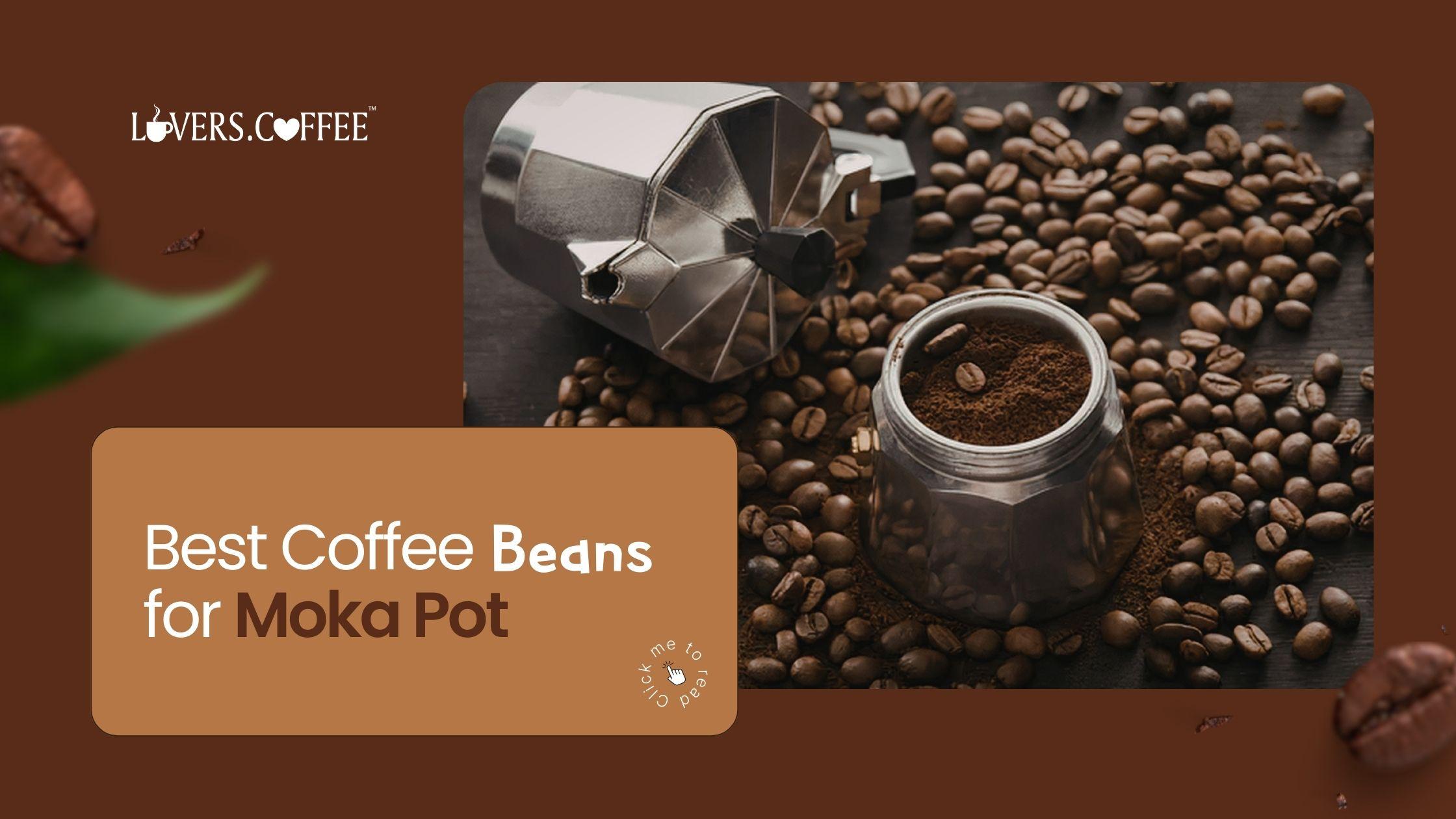best coffee beans for moka pot