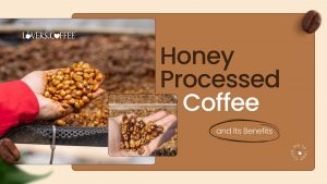 honey processed coffee