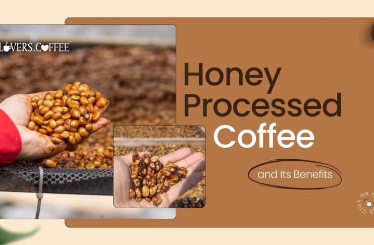 honey processed coffee