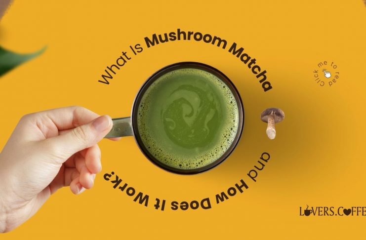 what is mushroom matcha