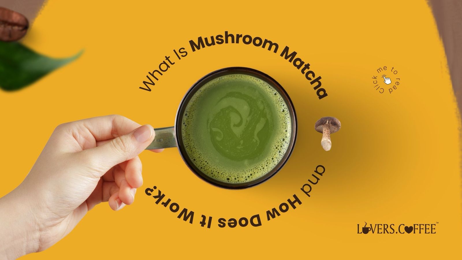 what is mushroom matcha