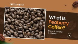 what is peaberry coffee
