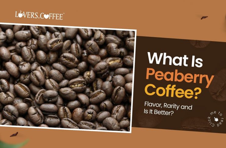 what is peaberry coffee