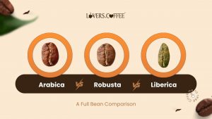 Arabica vs Robusta vs Liberica