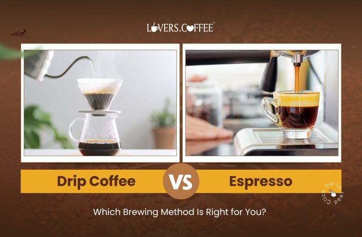 Drip Coffee vs Espresso