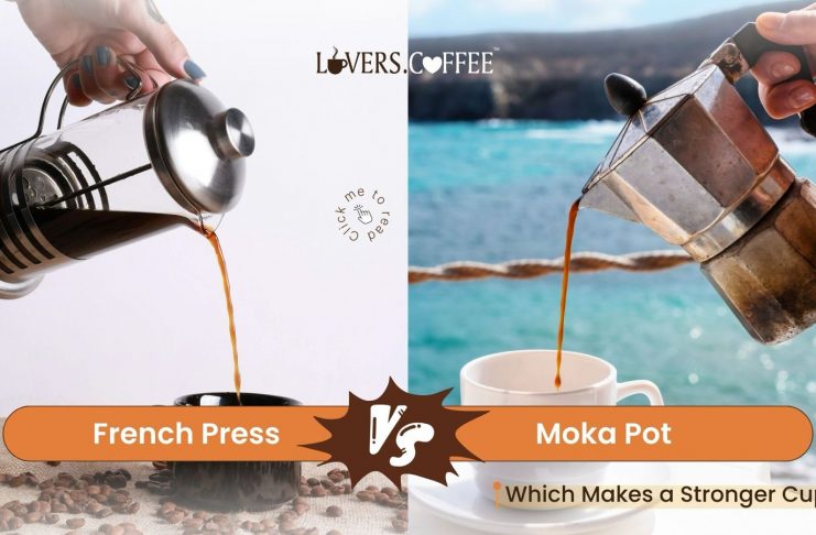 French Press vs Moka Pot