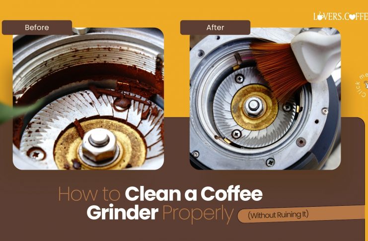 How to Clean a Coffee Grinder Properly
