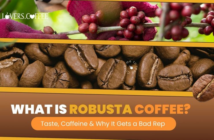 What is Robusta coffee