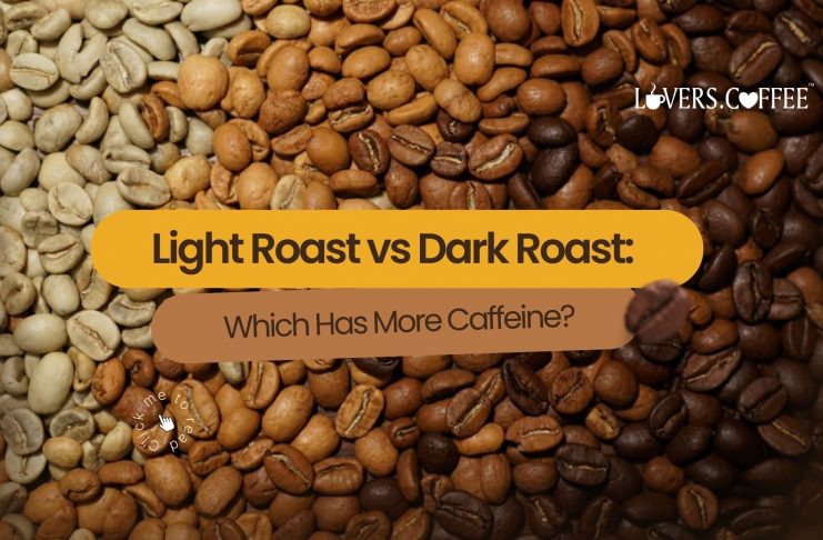 light roast vs dark roast