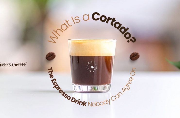 what is a cortado