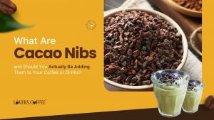 what are cacao nibs