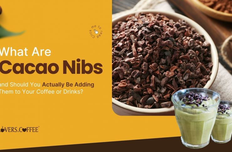 what are cacao nibs